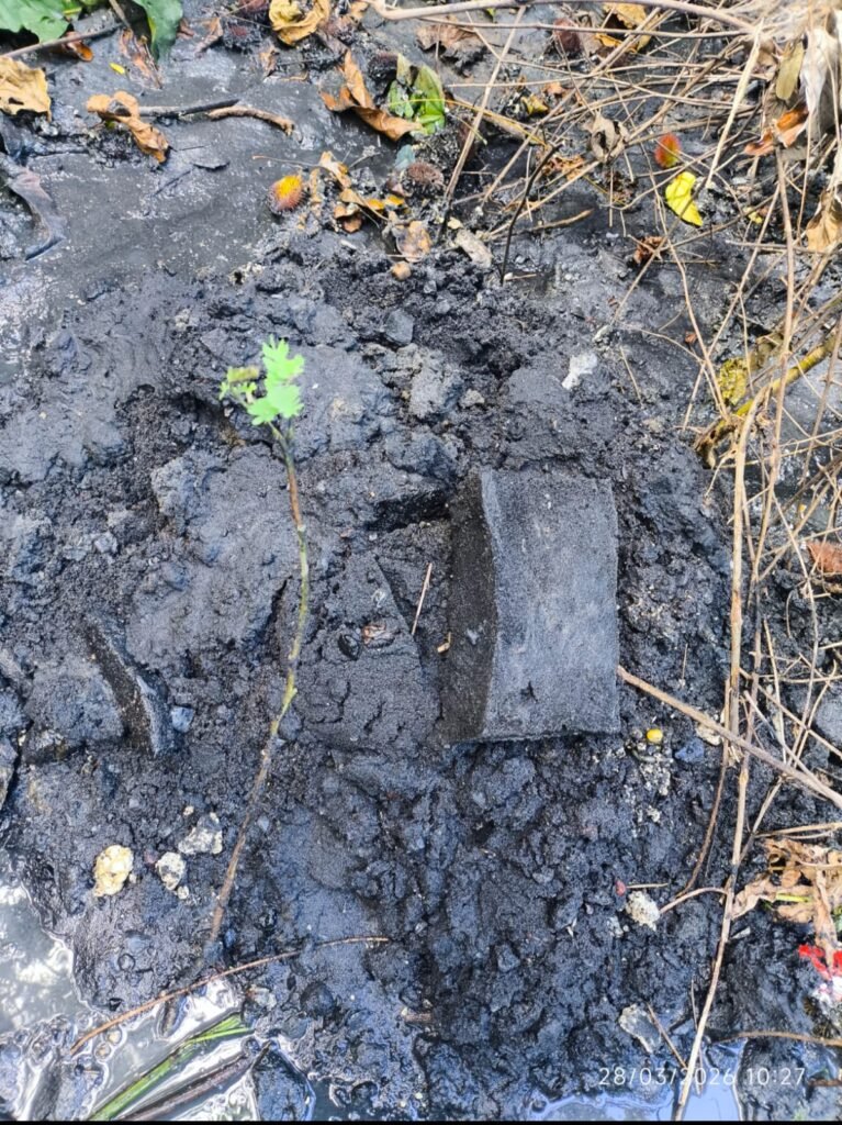 RESOLVIDO: Copasa conclui reparos na Vereda do Jardim dos Pescadores após 3 dias de trabalho whatsapp image 2026 03 28 at 10.57.24